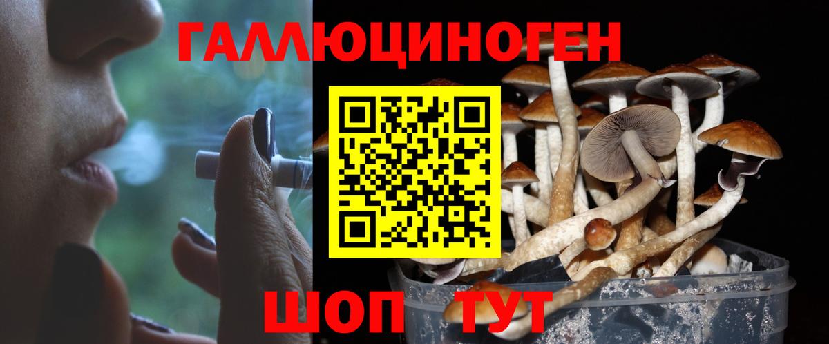 Псилоцибиновые грибы GOLDEN TEACHER  Вход с VPN  Дивногорск 